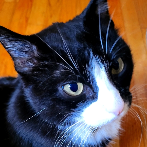 Meet your Posher, Evilcanofdrpepper (Alex) - Picture 6 of 6